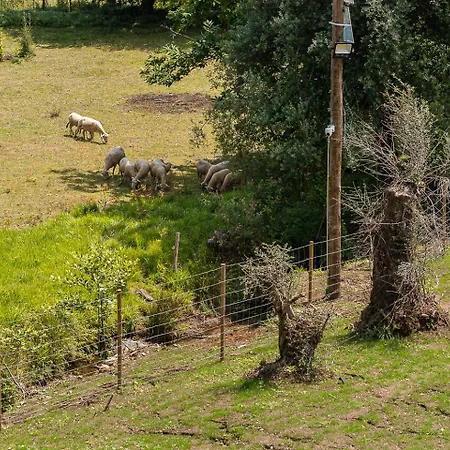 Villa Stay Luxury Property Ponte De Lima * Ponte de Lima