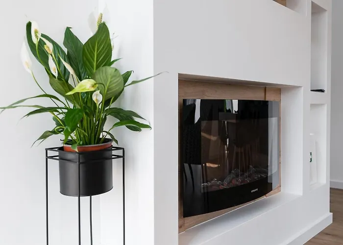 Villa Stay Luxury Property Ponte De Lima * פונטה דה לימה