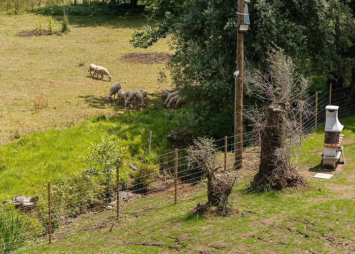 Villa Stay Luxury Property Ponte De Lima * פונטה דה לימה